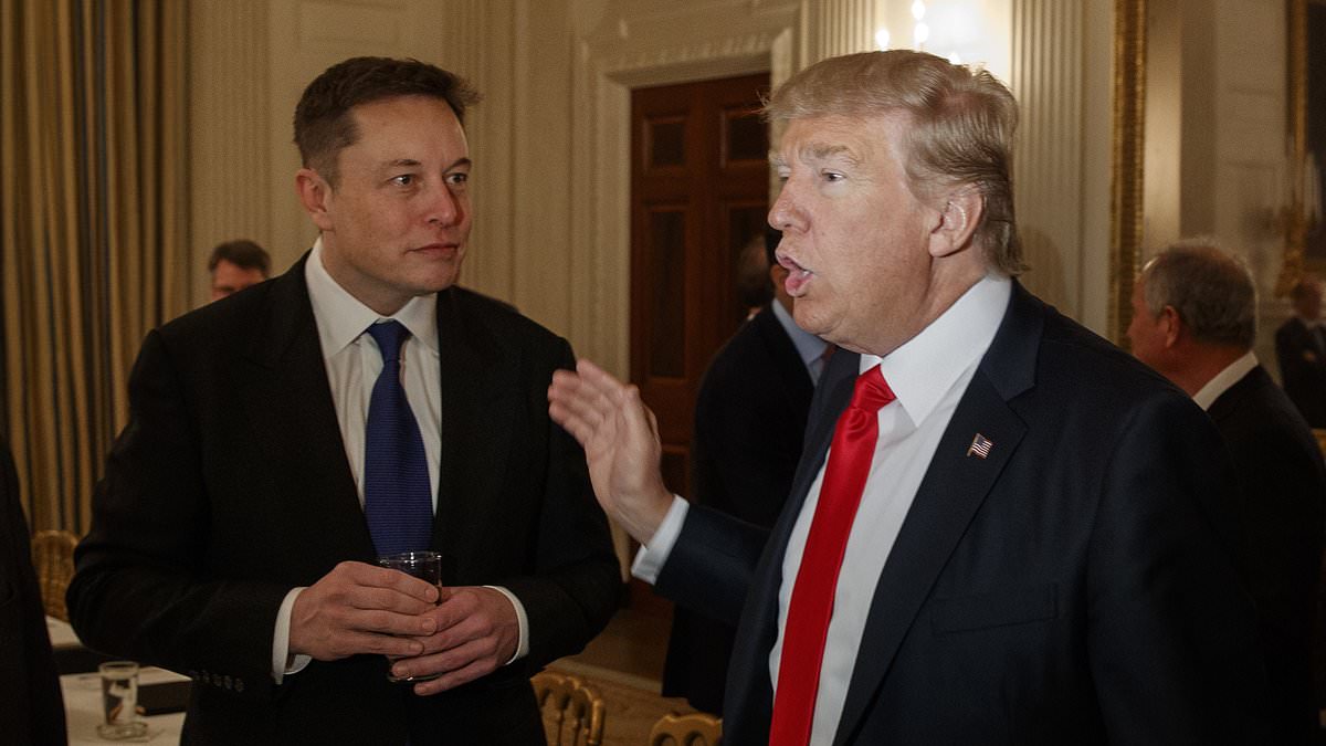 Якщо Трамп стане президентом США, Маск буде його радником, – WSJ