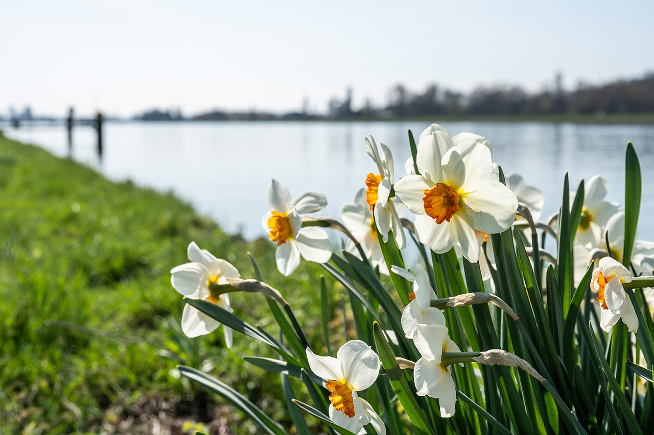 Прогноз погоди в Україні на 22 квітня від Наталки Діденко