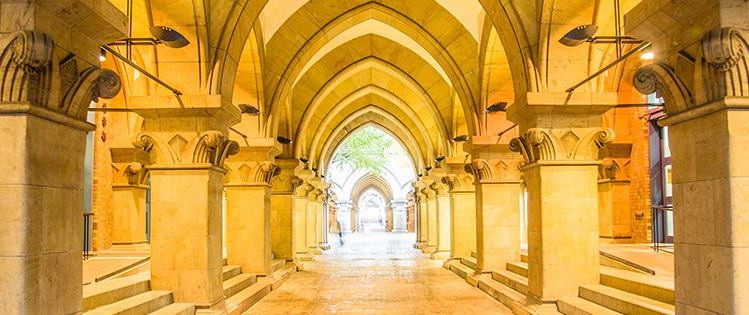 Університет Токіо має намір приймати студентів з Гарварду