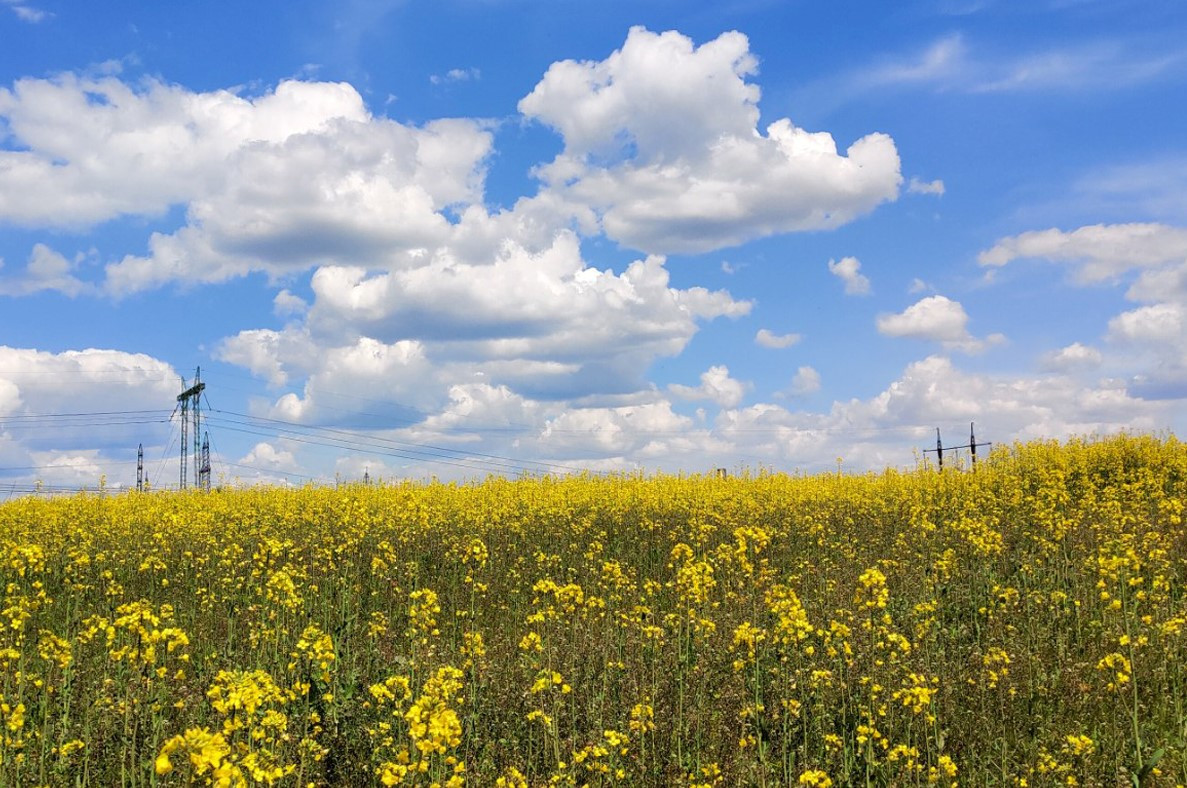 Прогноз погоди на 28 липня: спека та дощі в різних регіонах України