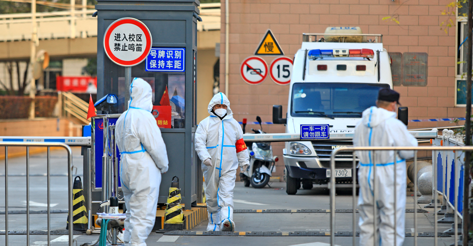 У Китаї активізується вірус чикунгунья, що передається через укуси комарів