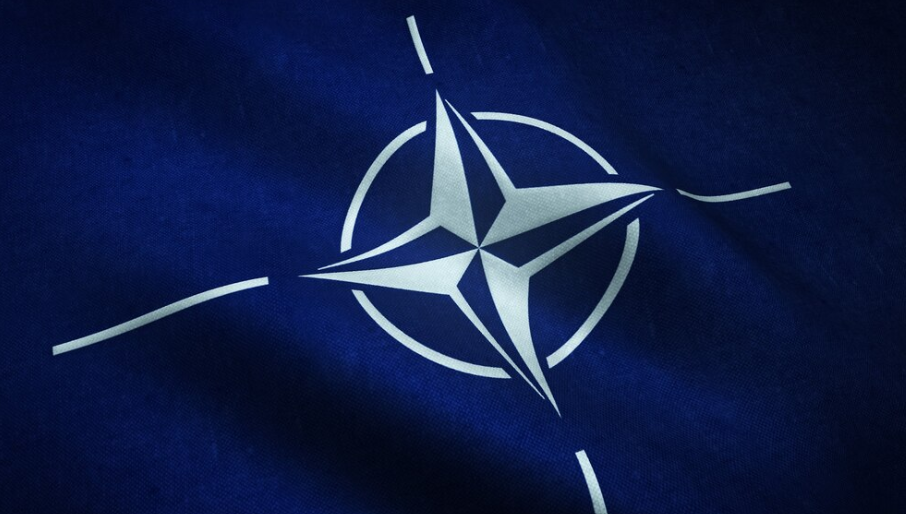 НАТО має намір розташувати німецькі та голландські війська в естонському Пярну