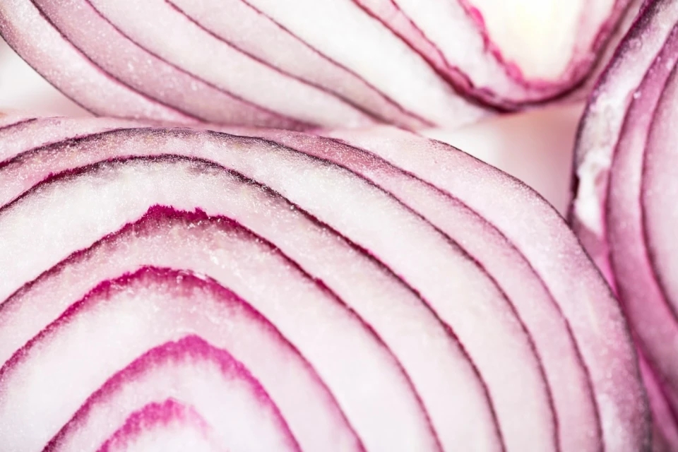 Ефективні та прості натуральні засоби для боротьби з павуками