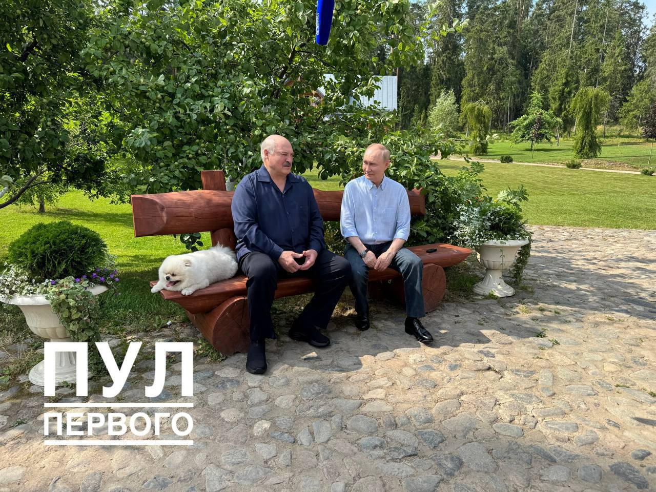 Психологиня Волошина пояснила значення зустрічі Путіна і Лукашенка на лавочці