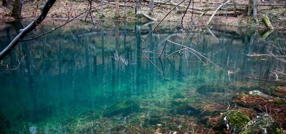 Бирюзове озеро Закарпаття: невідома лісова водойма