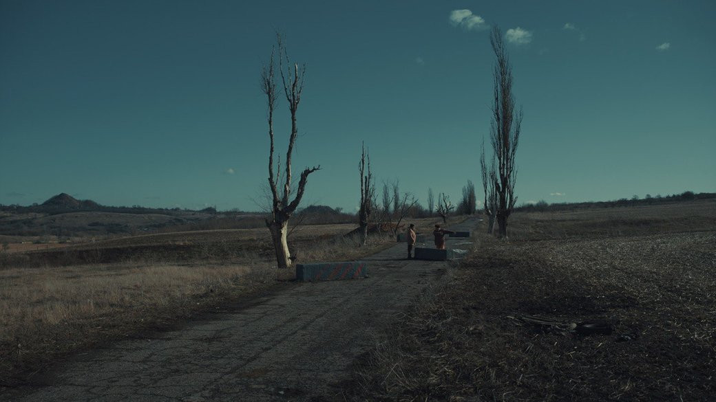 З'явився трейлер фільму "Сірі бджоли", знятого за популярним романом Андрія Куркова