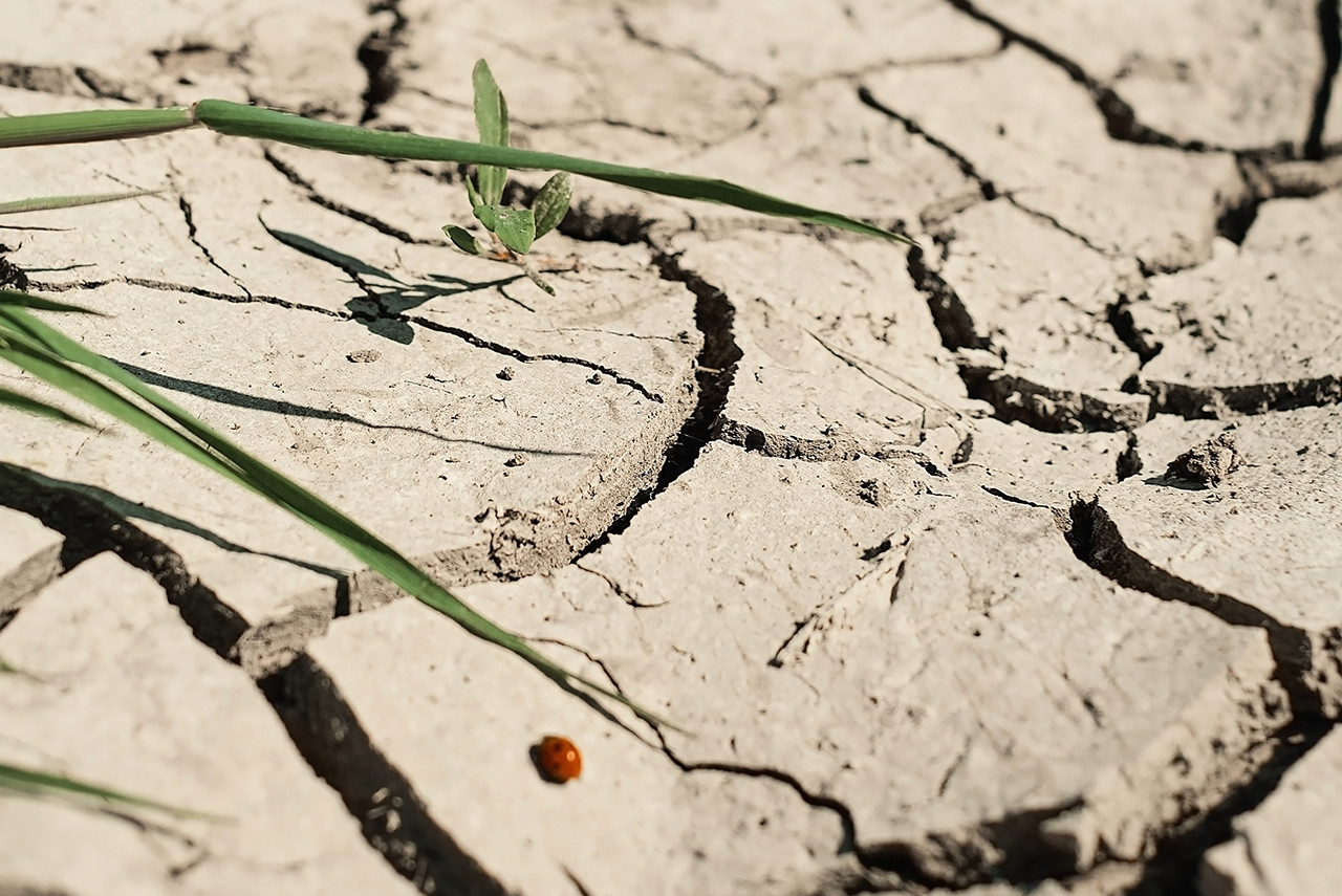 Світ не досягнув основної мети у боротьбі зі змінами клімату