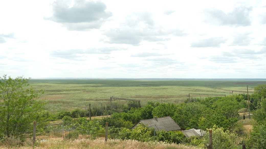 На місці водосховища виросло 40 мільярдів молодих дерев, - еколог про Великий Луг