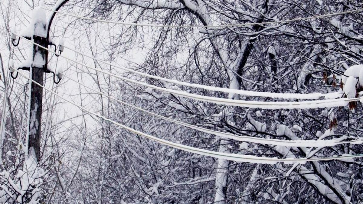 Сніг, вітряна погода та ожеледиця: прогноз на 28 грудня від Наталки Діденко