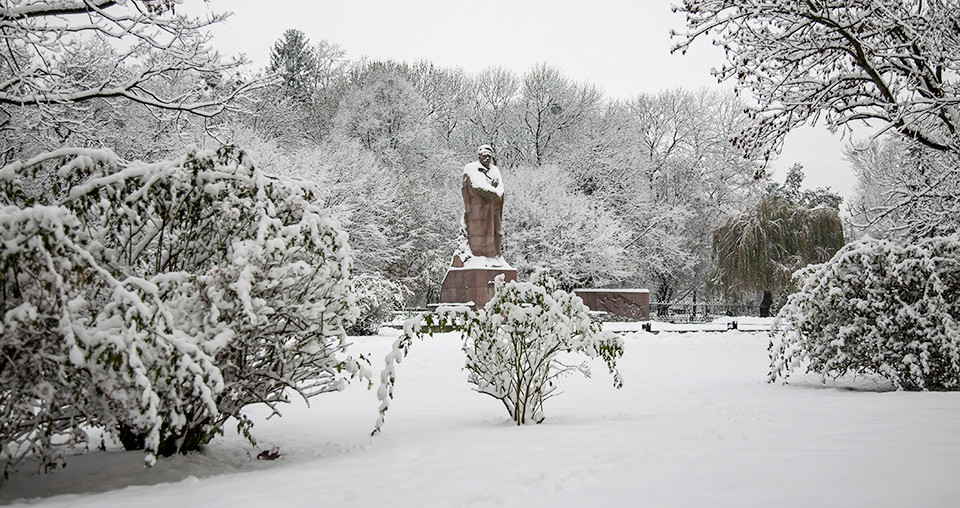 Погода в Україні 6 січня: Наталка Діденко про потепління та мокрий сніг