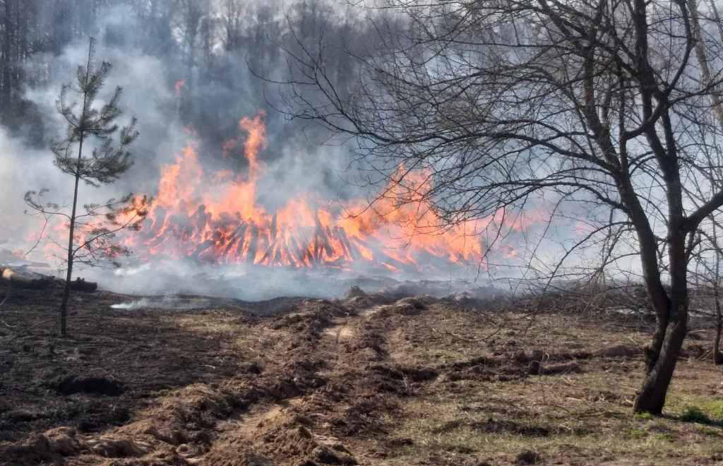 Південно-східна Австралія страждає від великих лісових пожеж