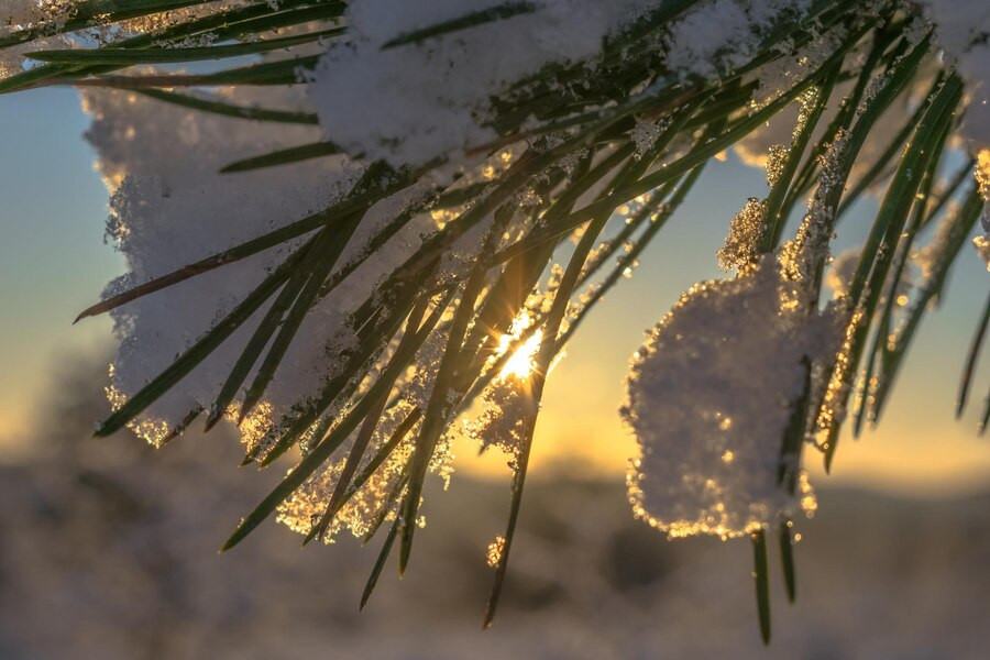 Наталка Діденко поділилася прогнозом погоди на 9 січня