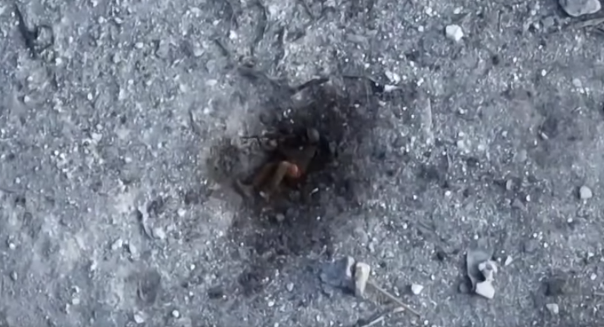 Бійці Хартії у січні знищили 1008 російських окупантів