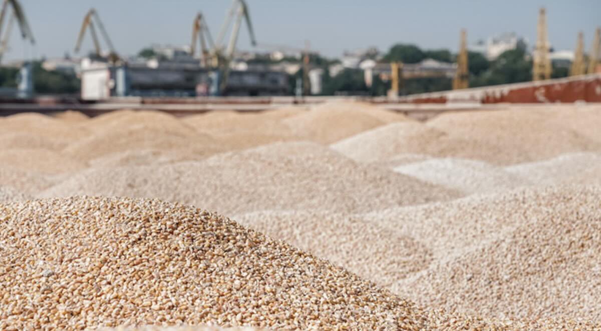 Україна розширює експорт агропродукції